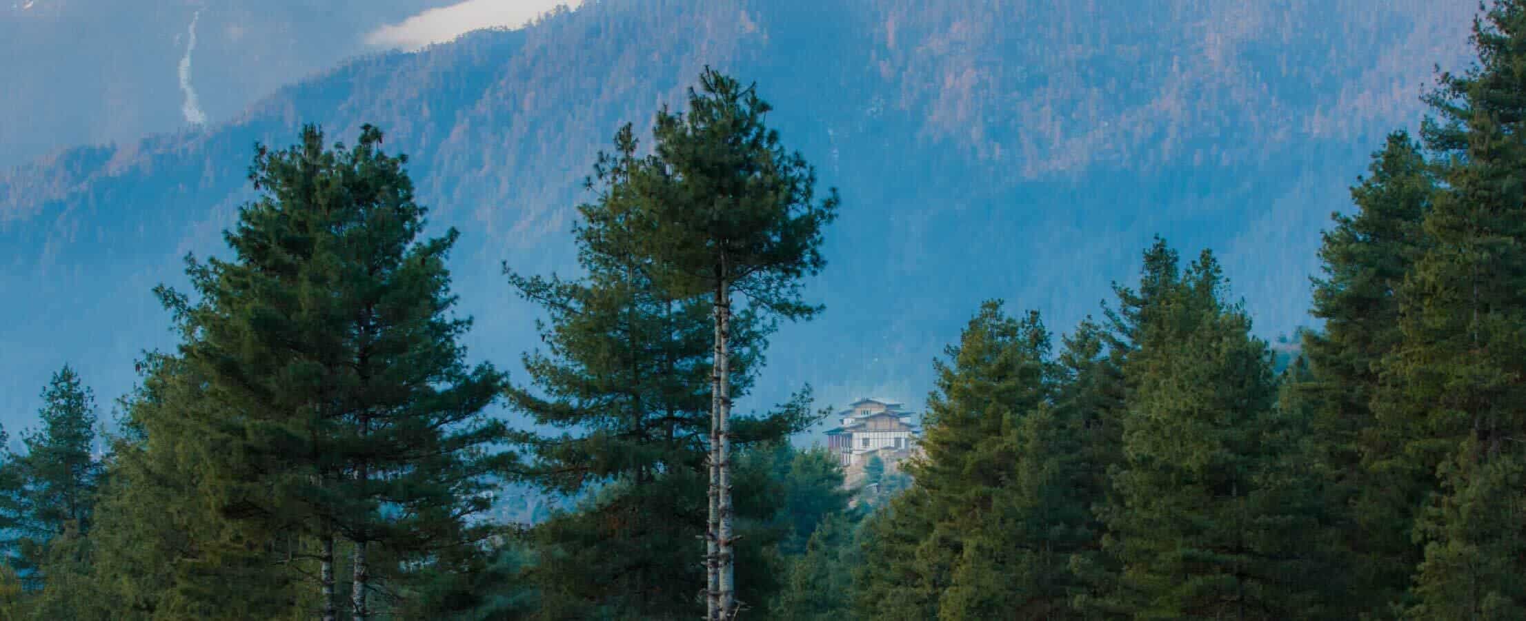 Full Image