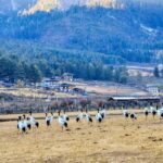 How Sustainability and Gross National Happiness impact daily life in Bhutan