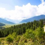 The Beauty of Summer in Gangtey Valley