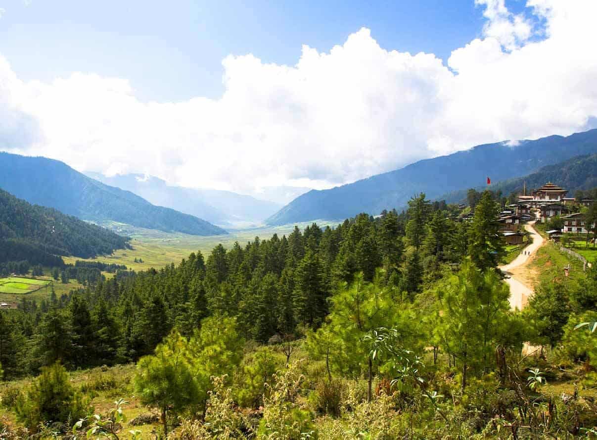 The Beauty of Summer in Gangtey Valley